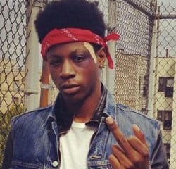 Joey Bada$$, le nouveau phénomène hip-hop 32