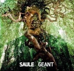 SAULE Géant 14