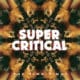 The Ting Tings <i>Super Critical</i> 27