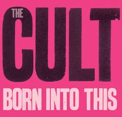 The Cult 20
