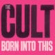 The Cult 21