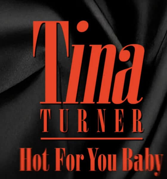 TINA TURNER Hot For You Baby